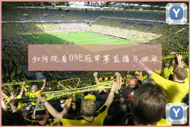 如何观看ONE冠军赛直播与回放