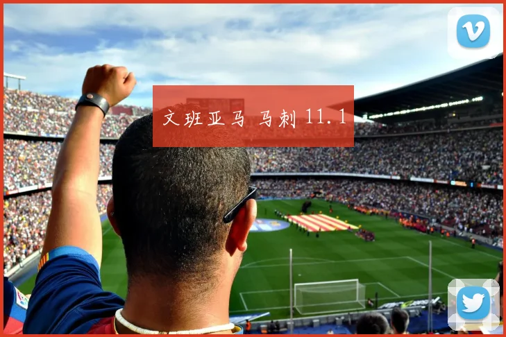 文班亚马 马刺 11.1