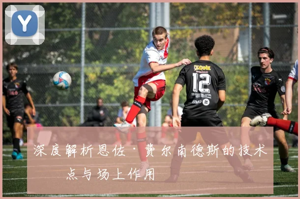深度解析恩佐·费尔南德斯的技术特点与场上作用